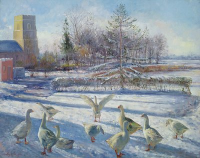 Snow Geese, Winter Morning by Timothy Easton